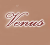 Studio Venus Linz Logo
