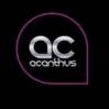 Acanthus photo 