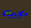 Cats photo 