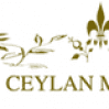 Ceylan Masajes
