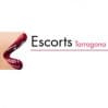 Escorts Tarragona photo 
