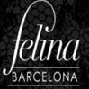 Felina Bcn photo 