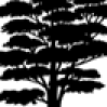 Profile image tumbnail