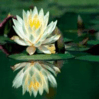 Kanokkon Thai Massage
