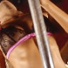 Profile image tumbnail
