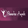 Paradise Angels
