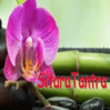 Sitara Tantra