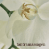Tantric Massage