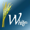 White´s Nachtclub