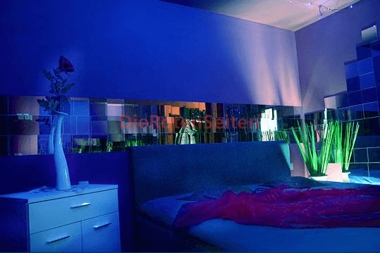 Sex Cottbus