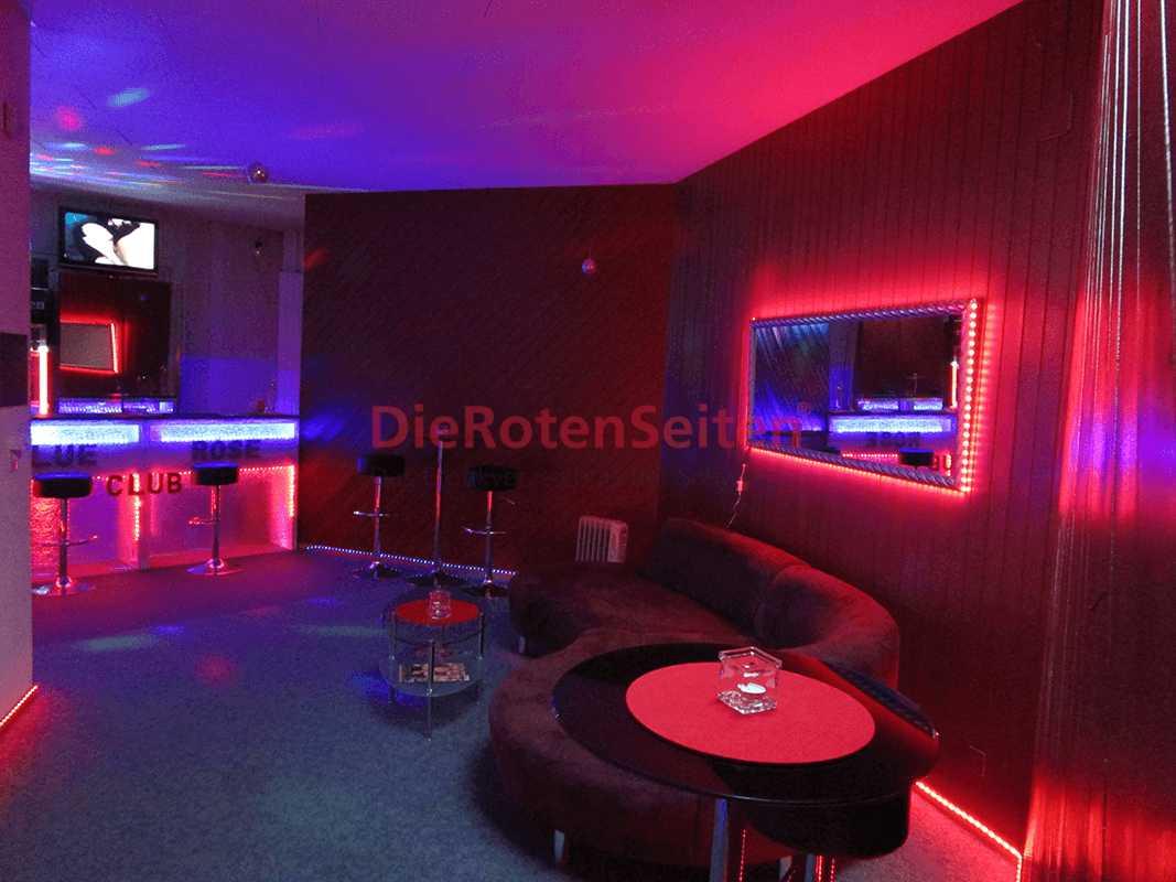 Studio Blue Rose