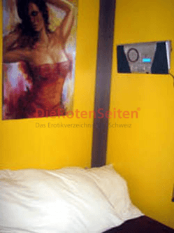 STUDIO DAYDREAM